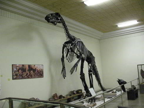 Edmontosaurus Edmontosaurus