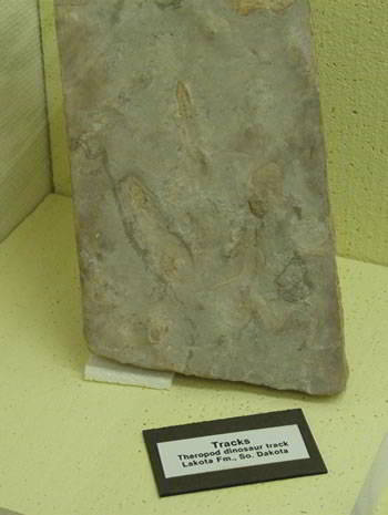 museum of geology museum of geology