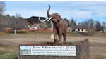 -mammoth-site
