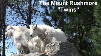 The 1924 gift from Canada to Custer State Park has also enhanced Mount Rushmore National Memorial The 1924 gift from Canada to Custer State Park has also enhanced Mount Rushmore National Memorial