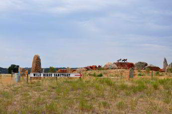 The Black Hills Wild Horse Sanctuary The Black Hills Wild Horse Sanctuary