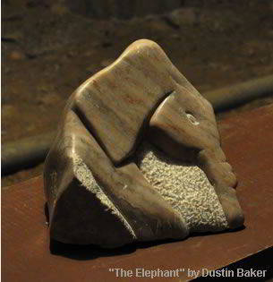 The Elephant The Elephant
