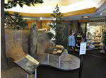 -jewel-cave-exhibits